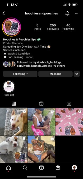 I’m a mobile dog groomer here in LA ?
@hoochiesandpoochies on Instagram! https://t.co/iFeWsEL55L