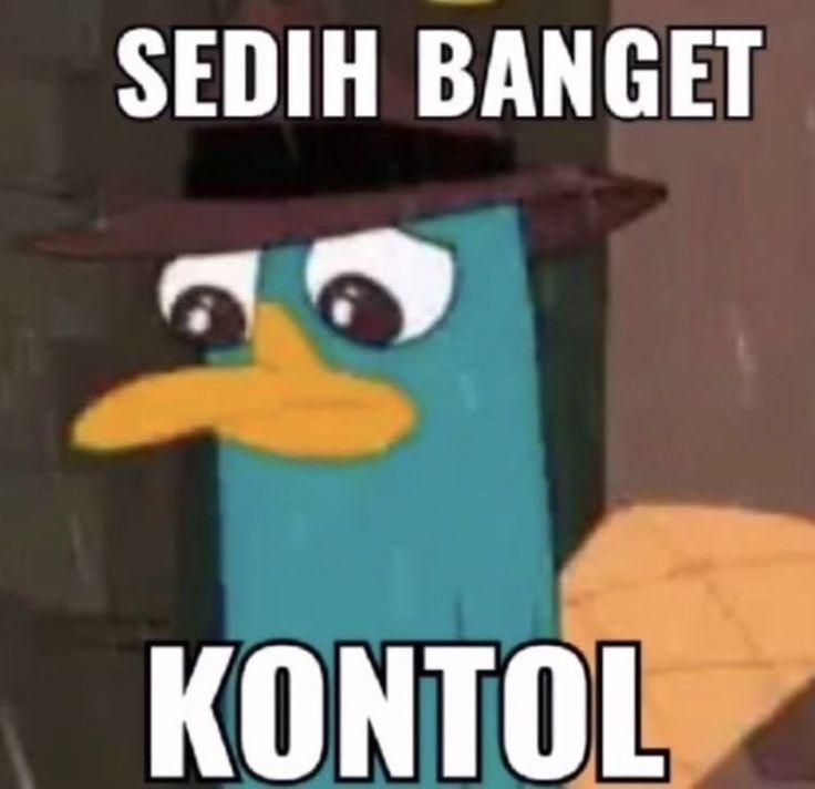 Ali (@aliahzardd) on Twitter photo 