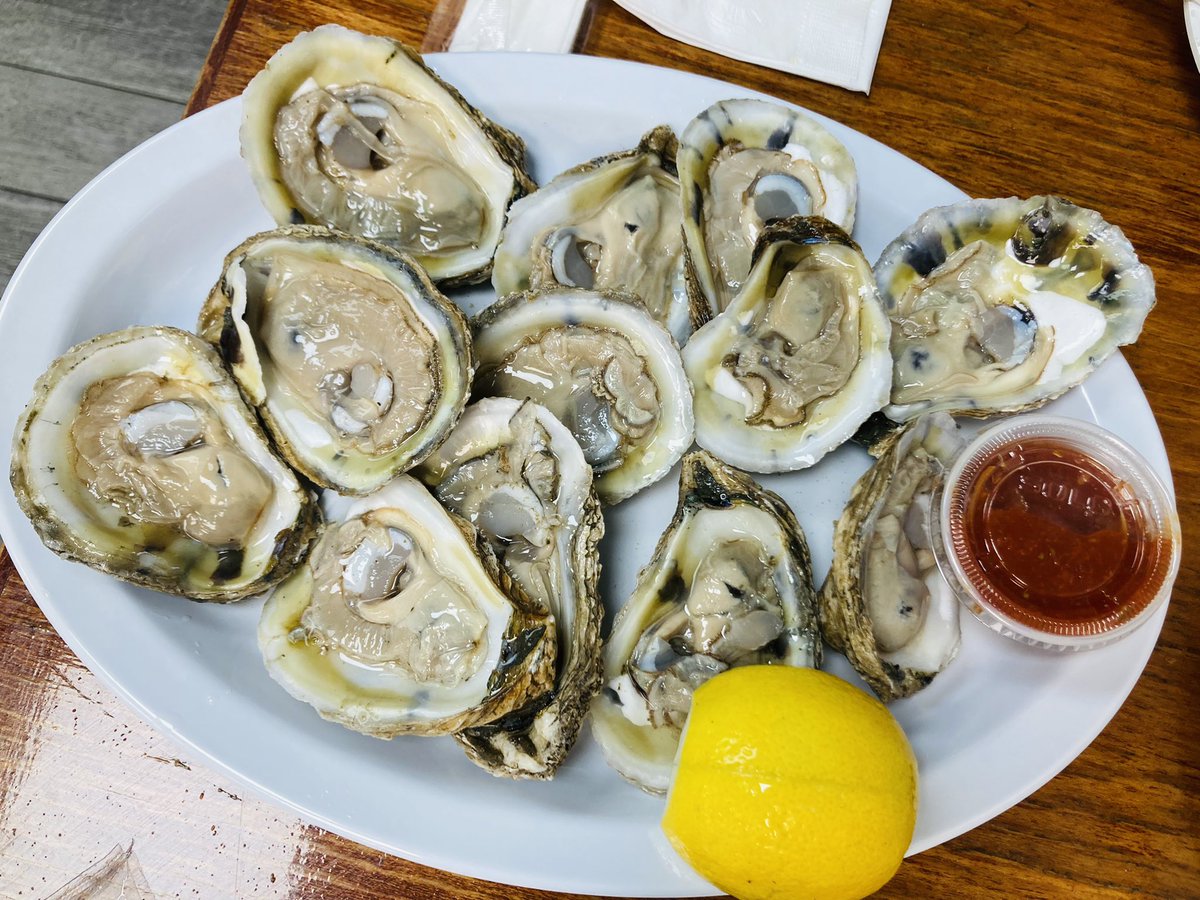 Daisuke Sugiura 杉浦大介 tweet media