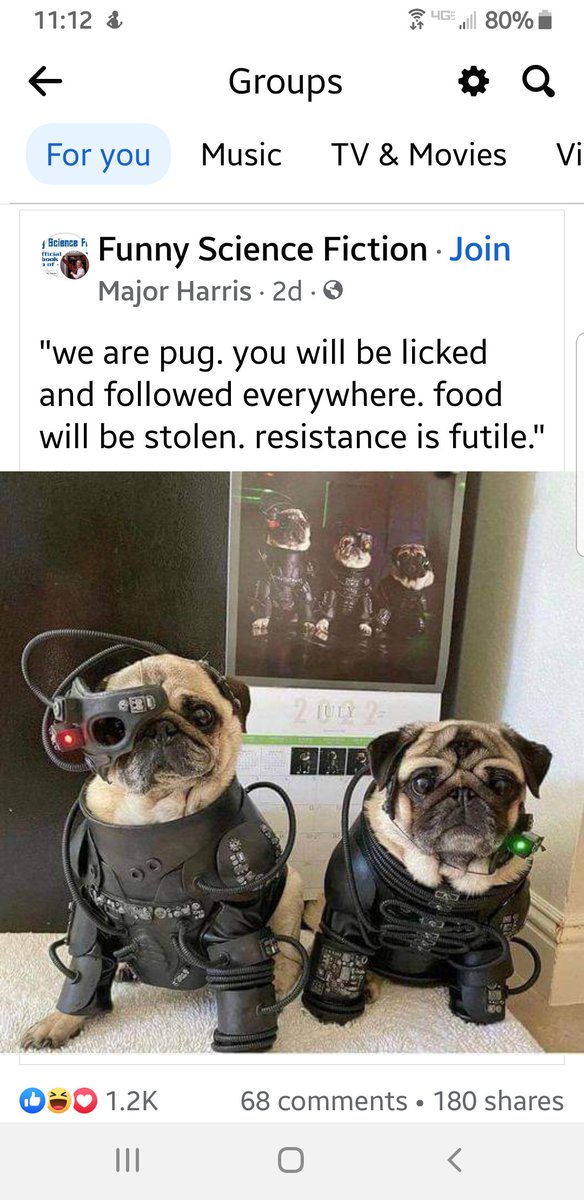 Angiebear333's tweet image. So cute from FB  😍😂💜🖖🏽#StarTrek #TheBorg #doglife #StarTrekTNG #StarTrekVoyager