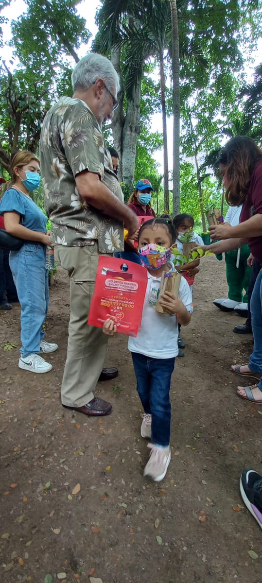 Comisión Forestal tweet media