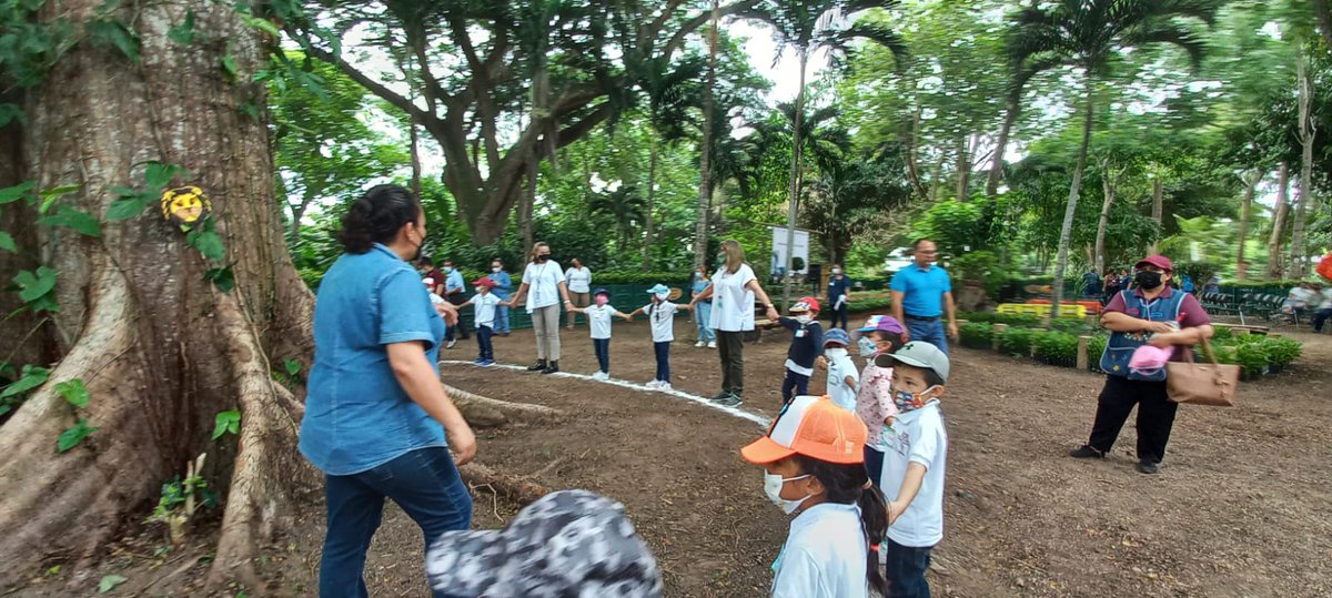Comisión Forestal tweet media