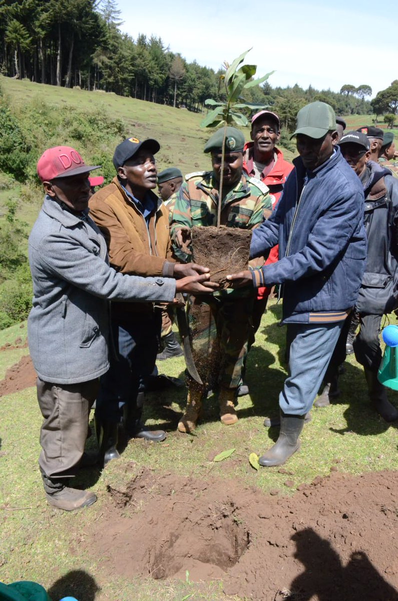 VObutich's tweet photo. Human cannot leave without tree's can leave without human. DKF has put themselves in that foot in safegourding the earth.
Planting of 30k tree seedling at Ragio forest.
@Dedankm 
@evakimathi 
@CCF_Kenya 
@KeForestService 
@kdfinfo 
#DKFNAKURU
#1milliontrees4Teddy https://t.co/HwK5MXJXKl