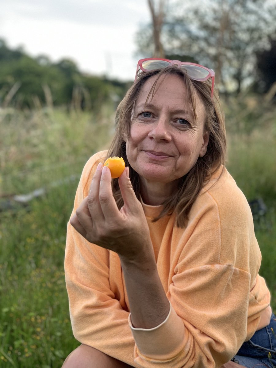 oRoseyo's tweet photo. First home-grown tomato! 🧡
#proudmama #allotmentlife #fruitsofmylabour https://t.co/SU1zqOjZ9U