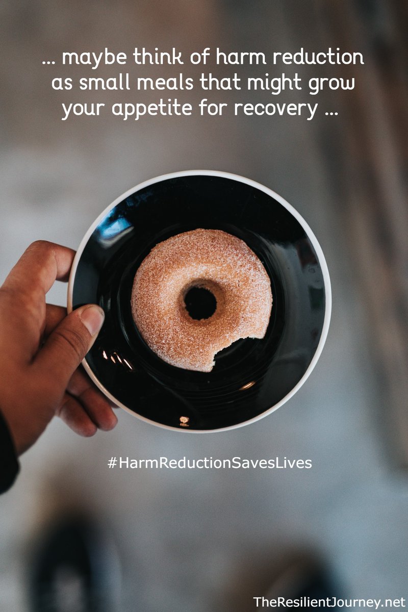 Harm Reduction Saves Lives! 
Find out more: harmreduction.org
#HarmReduction #DeadPeopleCantRecover