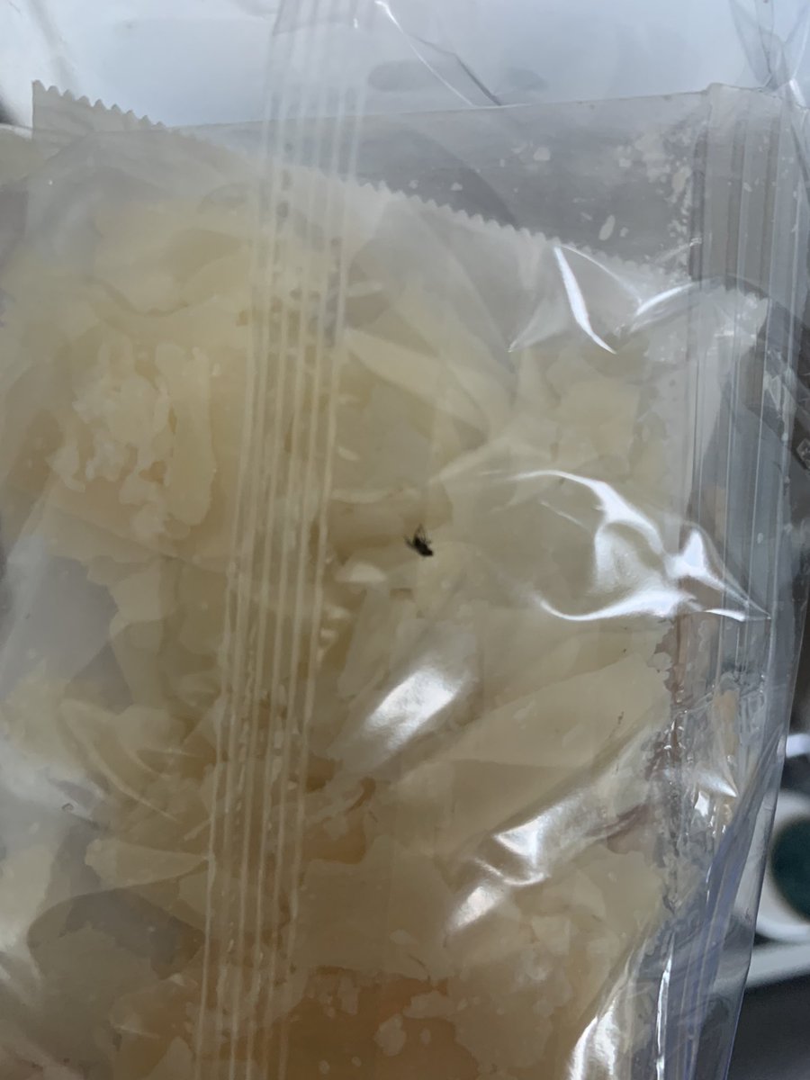 Joe Kaiser tweet media