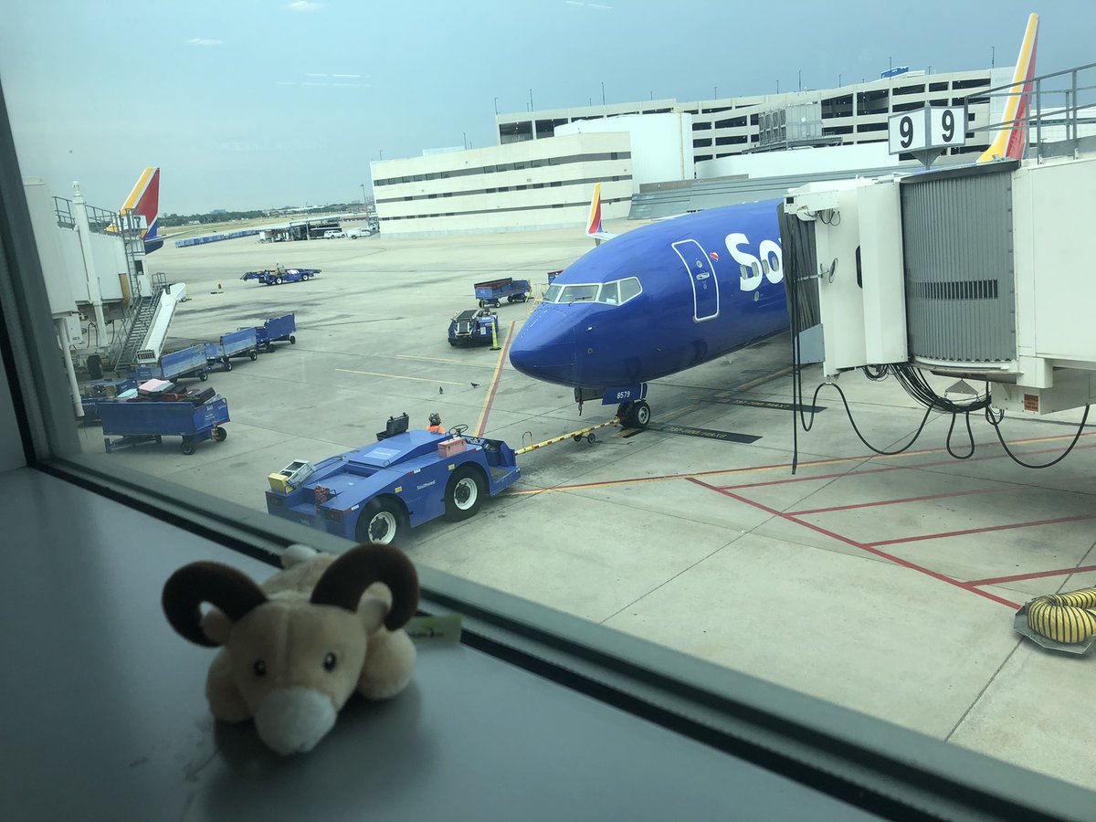 #RonnieRam is waiting more or less patiently at the Dallas Love airport. He just finished reading a grown-up book called The Invention of Wings and can’t wait to start his next book. Any recommendations? #CRESculture <a href="/centreridgees/">Centre Ridge Rams</a>