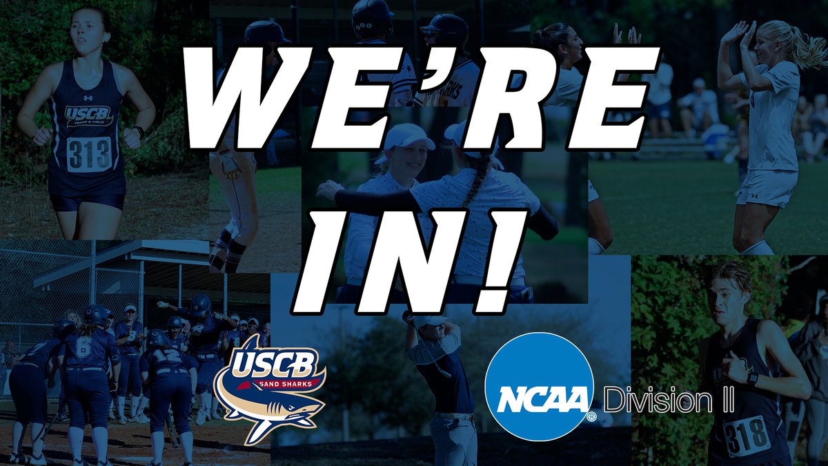 USCBAthletics's tweet photo. We are officially NCAA provisional members! #RisingTide #FinsUp https://t.co/iRg0DHkE8R