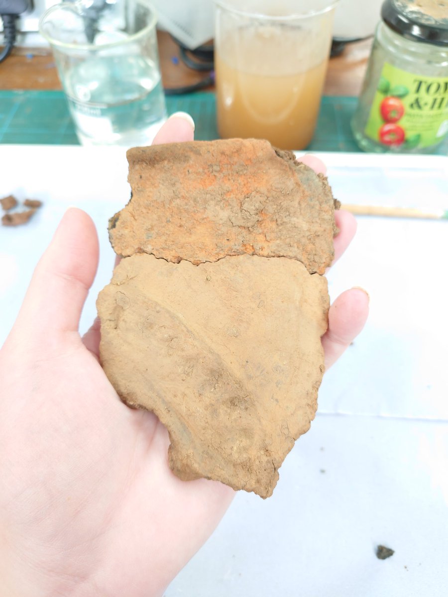 Leonieconserva's tweet photo. A little more #decoration and rim found during #cleaning of the #bronzeage #pottery. The top piece shows a lovely colour, this is very fragile when cleaning, so until it is drier it can't be cleaned fully. @CAERHeritage @CUConservation #cuconservation #potterypuzzle https://t.co/pMDotXAHRe