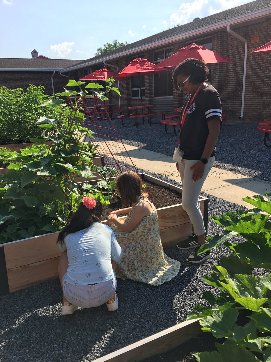 MsFoster_RBPS's tweet photo. Today we did a little planting thanks to @moranb409 #RBBisBIA @rbbsummer https://t.co/tE7WNp8AhI