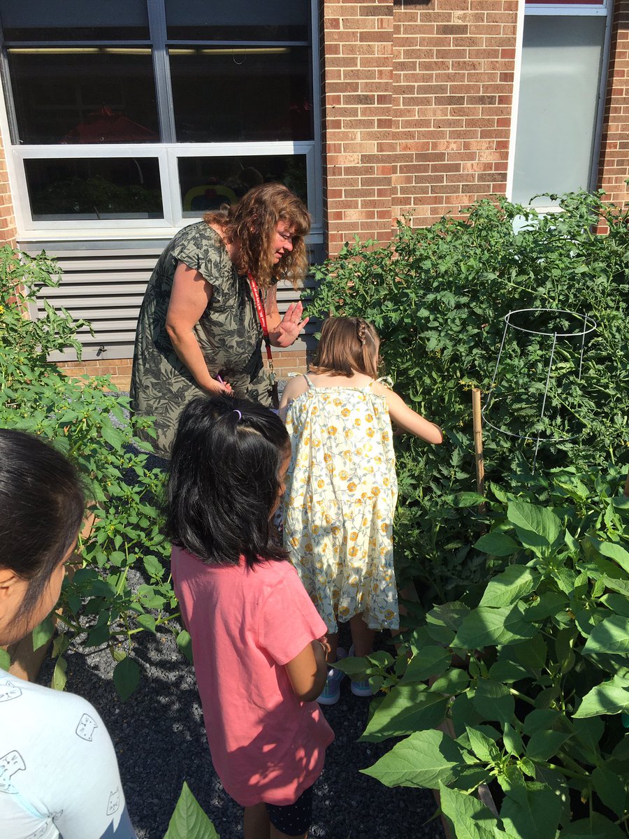 MsFoster_RBPS's tweet photo. Today we did a little planting thanks to @moranb409 #RBBisBIA @rbbsummer https://t.co/tE7WNp8AhI