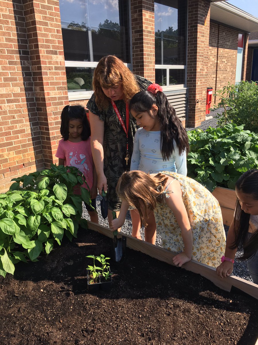 MsFoster_RBPS's tweet photo. Today we did a little planting thanks to @moranb409 #RBBisBIA @rbbsummer https://t.co/tE7WNp8AhI