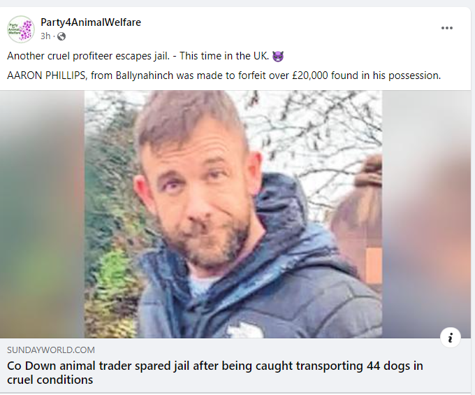 AnimalPartyIE's tweet photo. Another cruel profiteer escapes jail. -  👿#NorthernIreland SHAME EXPOSED  #CoDown #animaltrader spared jail after being caught transporting 44 dogs in cruel conditions.
#AARONPHILLIPS of #Ballynahinch made to forfeit over £20,000 found in his possession.
https://t.co/KUB0yG0f2O https://t.co/DRSLL8BYDj