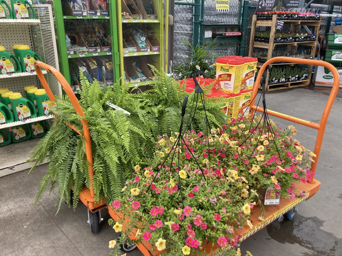 PPSKare's tweet photo. Summer Loving with these Amazing PW Perennial Hibiscus ❤️🌺❤️From Our Home Depot NMB 1121 to your Home 🏡 #enjoythemagic @makinzyspisak @PPSinHD @JimSimmonsHD @Stephen_E_Camp @pps_s_atlantic https://t.co/5ZjaPDwmje