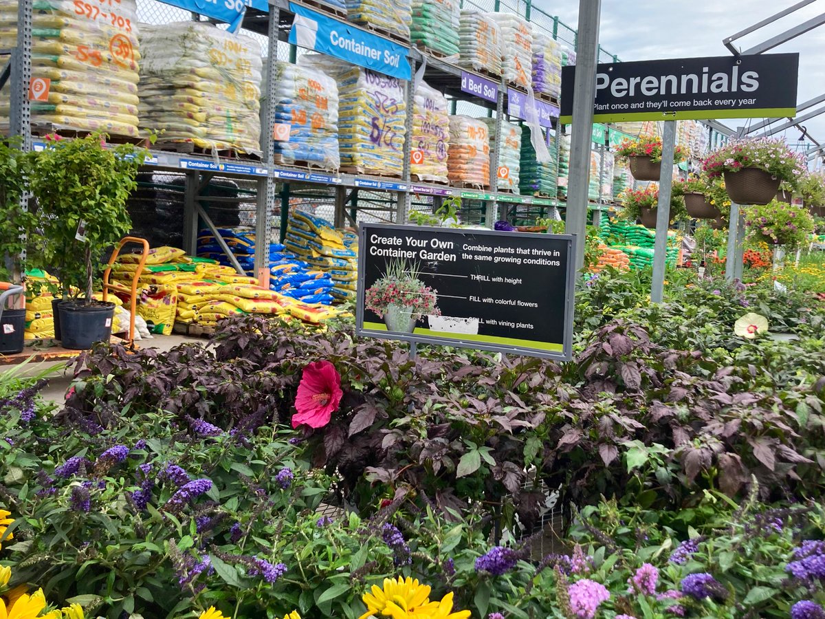 PPSKare's tweet photo. Summer Loving with these Amazing PW Perennial Hibiscus ❤️🌺❤️From Our Home Depot NMB 1121 to your Home 🏡 #enjoythemagic @makinzyspisak @PPSinHD @JimSimmonsHD @Stephen_E_Camp @pps_s_atlantic https://t.co/5ZjaPDwmje
