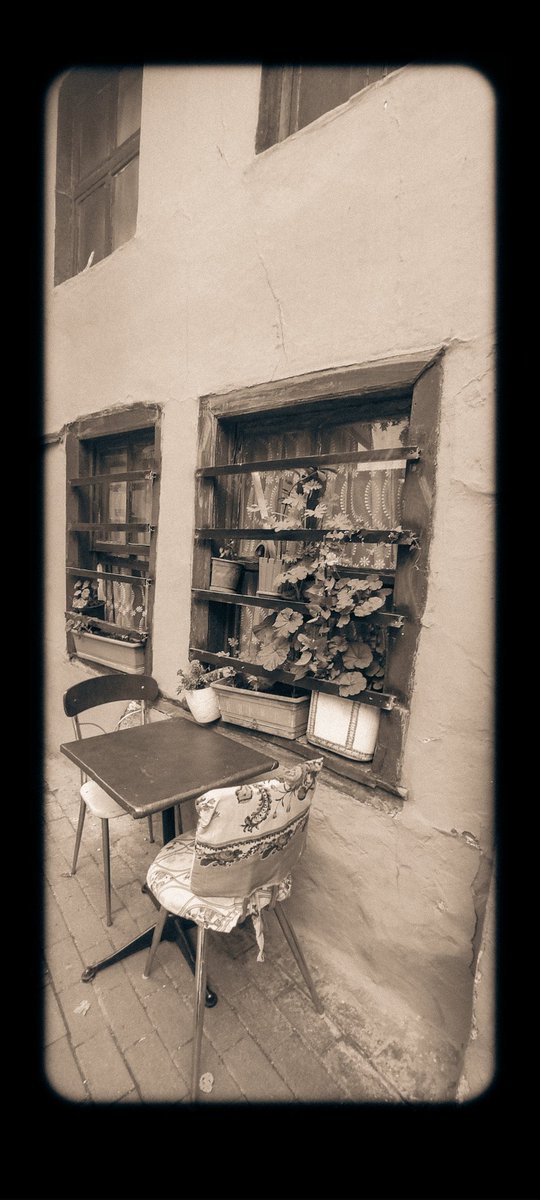 Penceremde sayıklıyor bir sardunya.