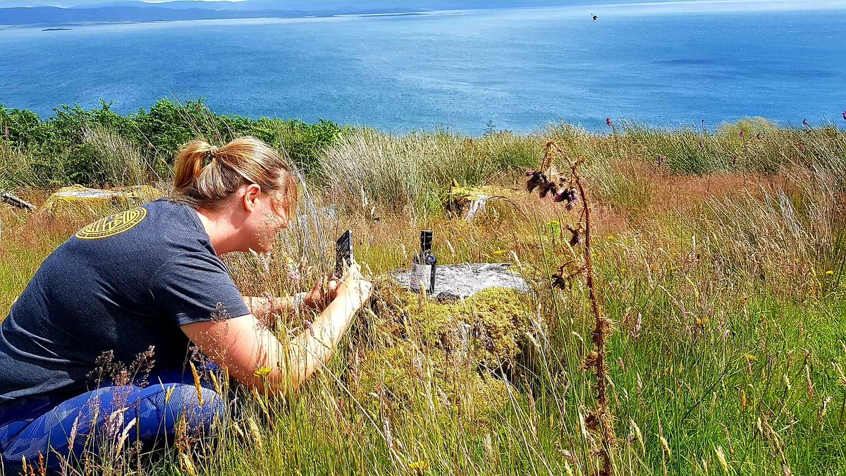 5 days on #Islay &amp; #Jura. 5 days full of stunning landscapes &amp; #whisky. Already missing it. 😢

But collected a lot of material for my IG 🥃 blog. 😉