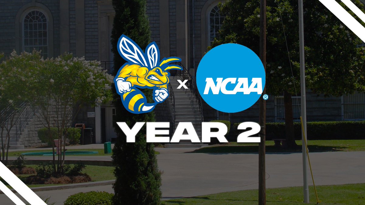 NCAA Update: Allen University has been approved by the Membership Committee to move to provisional year two in becoming a member of the NCAA

#R2G | #AUAthletics 🐝
