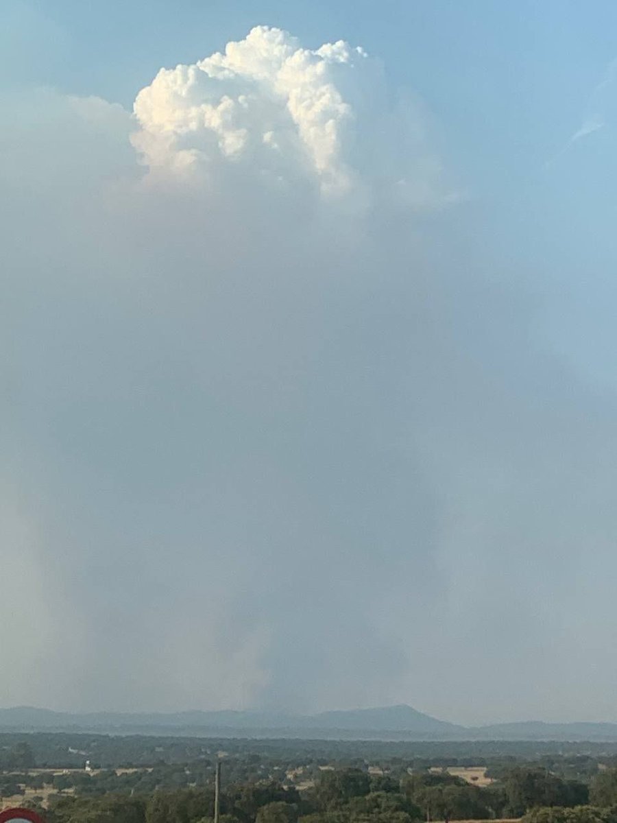 El incendio de Monfragüe tiene tanta energía que ha conseguido levantar un impresionante PyroCu (pirocúmulo), situando al incendio fuera de capacidad de extinción. A partir de ahora, y mientras esté en pie, es él quien “gobierna” el incendio. 
#IFMonfragüe