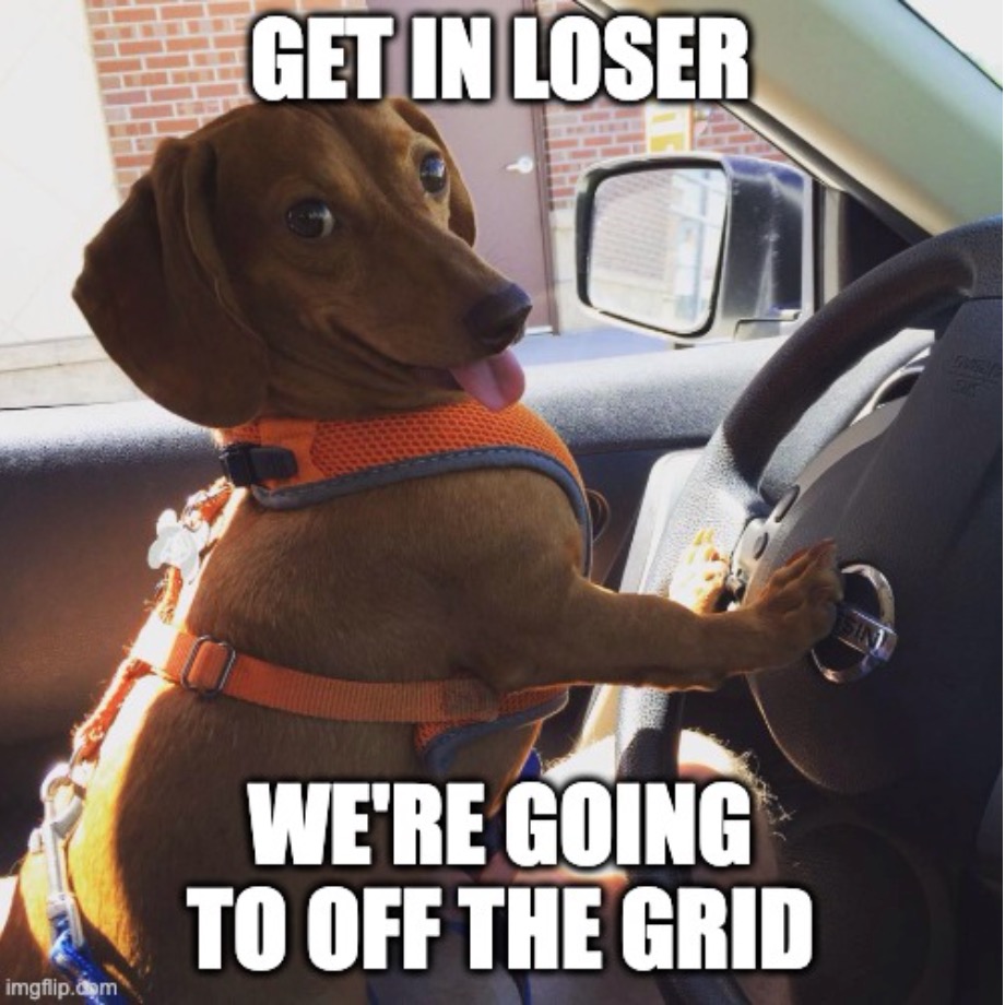 WIENER DOG RACES. This Friday for #FidoFriday, Doxicon edition. Sign up here: docs.google.com/forms/d/e/1FAI…