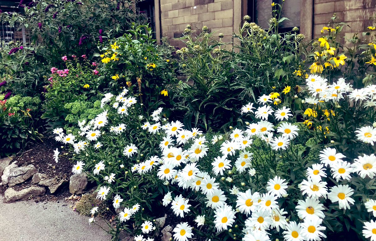 michelle davenport tweet media