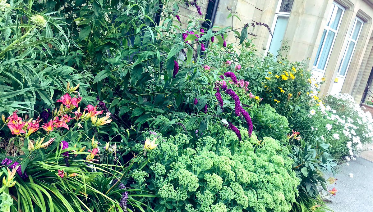 michelle davenport tweet media