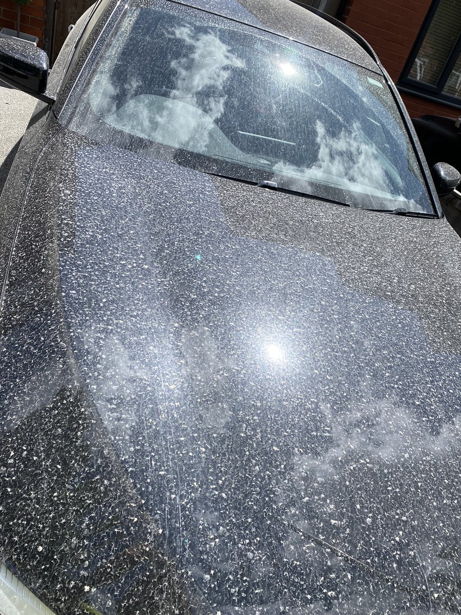 freedom10ltd's tweet photo. @OfficialTfGM are you serious. A job that was meant to be 3 shifts is still ongoing after 3 weeks. Dust. Carnage. Damaged cars. A road that didn’t need doing and now you wanna go over it again !! bee Network broadstone @Eurovia_UK @Promoting_SK @StockportMBC #stockport #joke https://t.co/LD2ddyHFMV