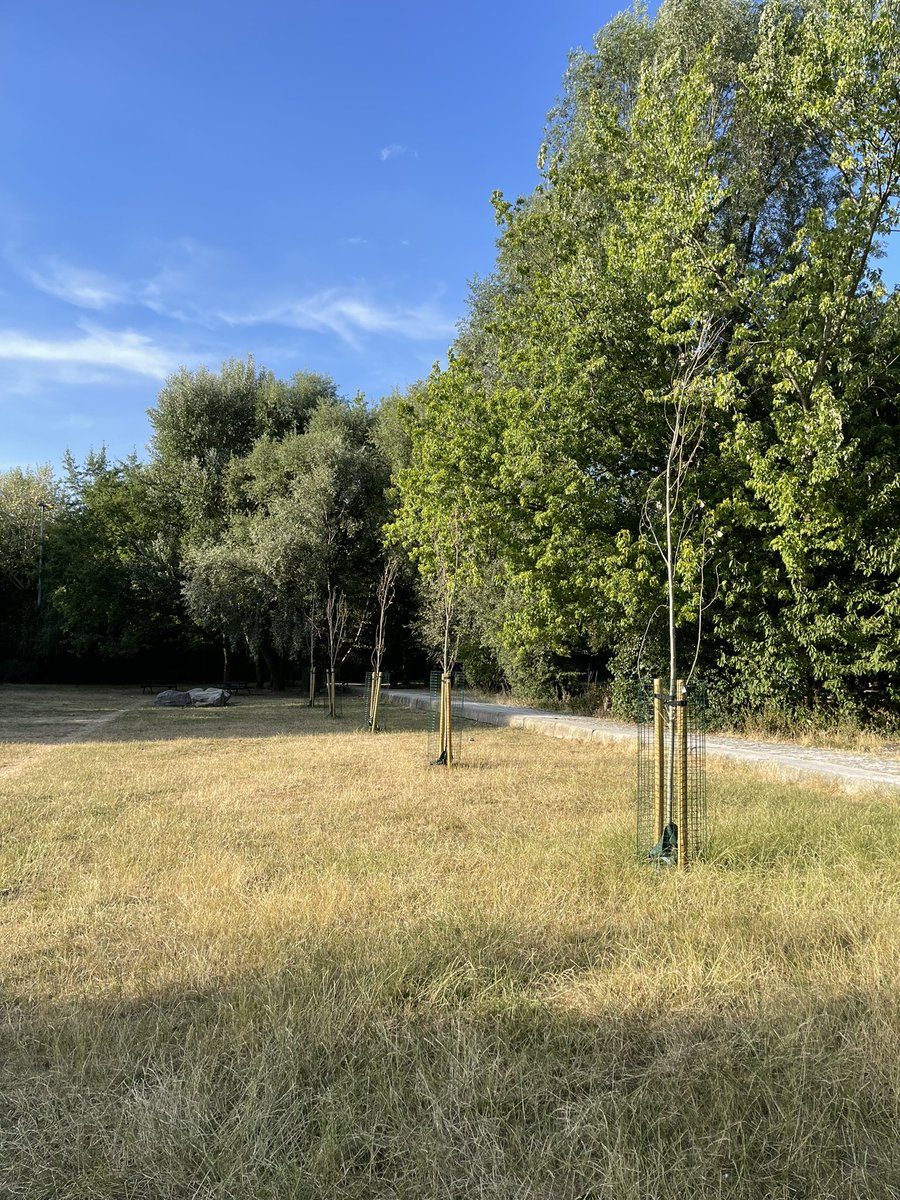 JKempEnergy's tweet photo. SOUTHWARK COUNCIL @lb_southwark has a great initiative to plant over 10,000 new trees across the borough. Unfortunately most of them are now dying because they aren’t being watered in the first few months while they get established https://t.co/7CWxxyfyeU