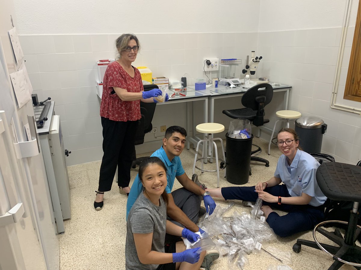 Blanca B. Landa tweet media