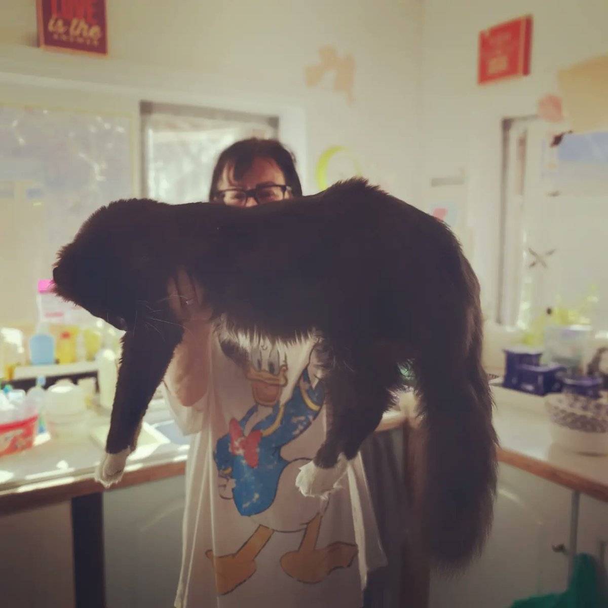 BenjaminaPCC's tweet photo. Giant babies 

Portocaliu 🧡 
Murasaki 💜 https://t.co/W1c2iTc54r