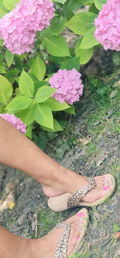 Content from ladywella4u