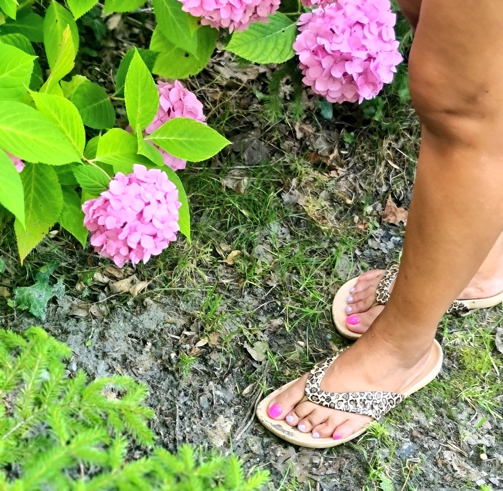 Content from ladywella4u