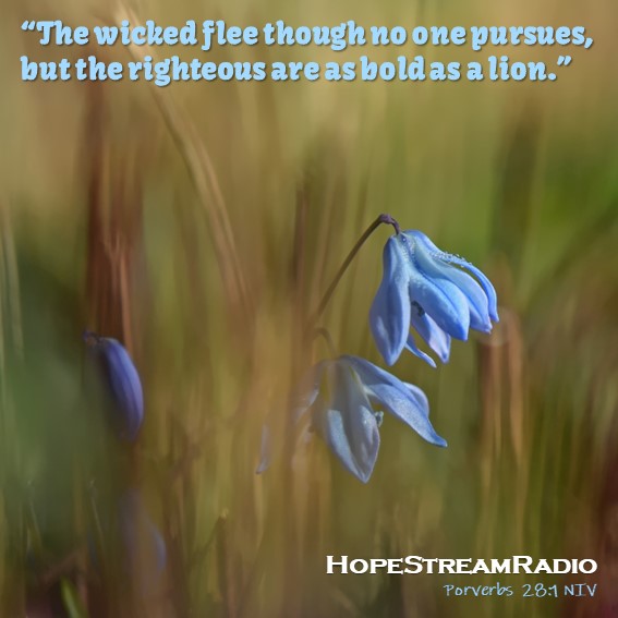 HopeStreamRadio's tweet photo. #dailyverse #versefortoday #hopestreamradio #Proverbs28v1 #wicked #bold #righteous #brave https://t.co/tmQ6IUo75z