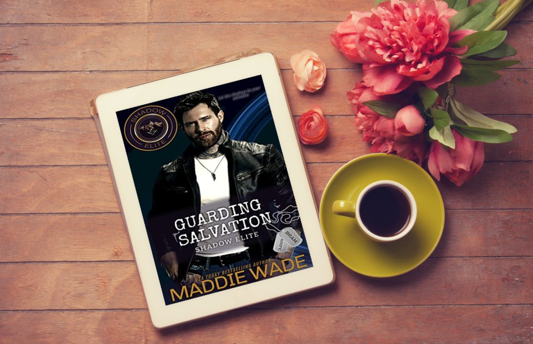 Book Promotion tweet media