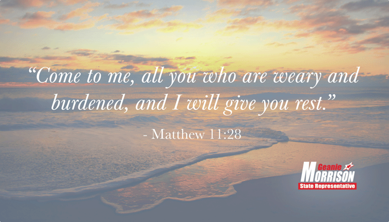 Geanie Morrison tweet media