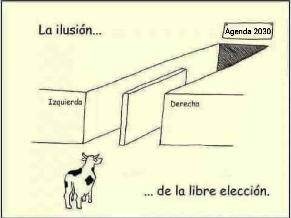 Pili G.🇪🇸 tweet media