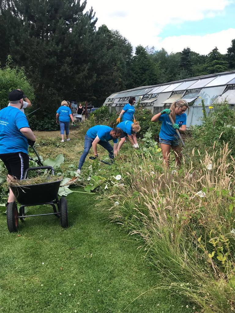 @BlossomMcr today at Wythenshawe Park lovely Ingrid was working with a fabulous volunteer team from @DynoUk Its a real privilege to meet so many people that give up their time to volunteer to do hard graft ,weeding ,clearing and digging . @MCCCityCentre @WythParkFriends @07970W