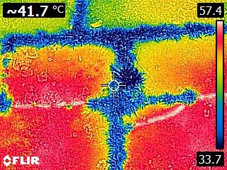 Compostela, in Galicia, swelters under an unprecedented heatwave. The stone pavement of the historic centre is boiling hot, but not everywhere. Colonizing "lumpen" plant species are making cities more hospitable. Let's help them as the allies they are.