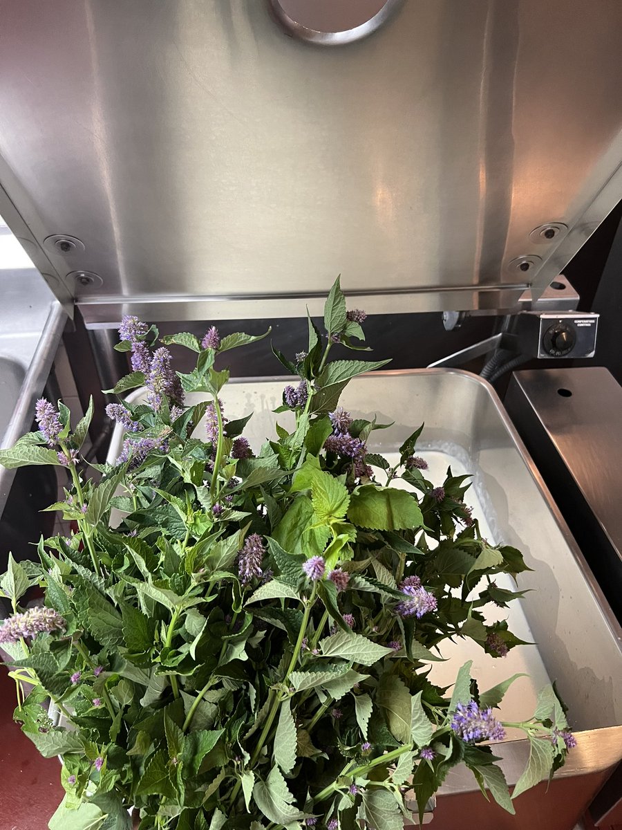 Picco Restaurant tweet media