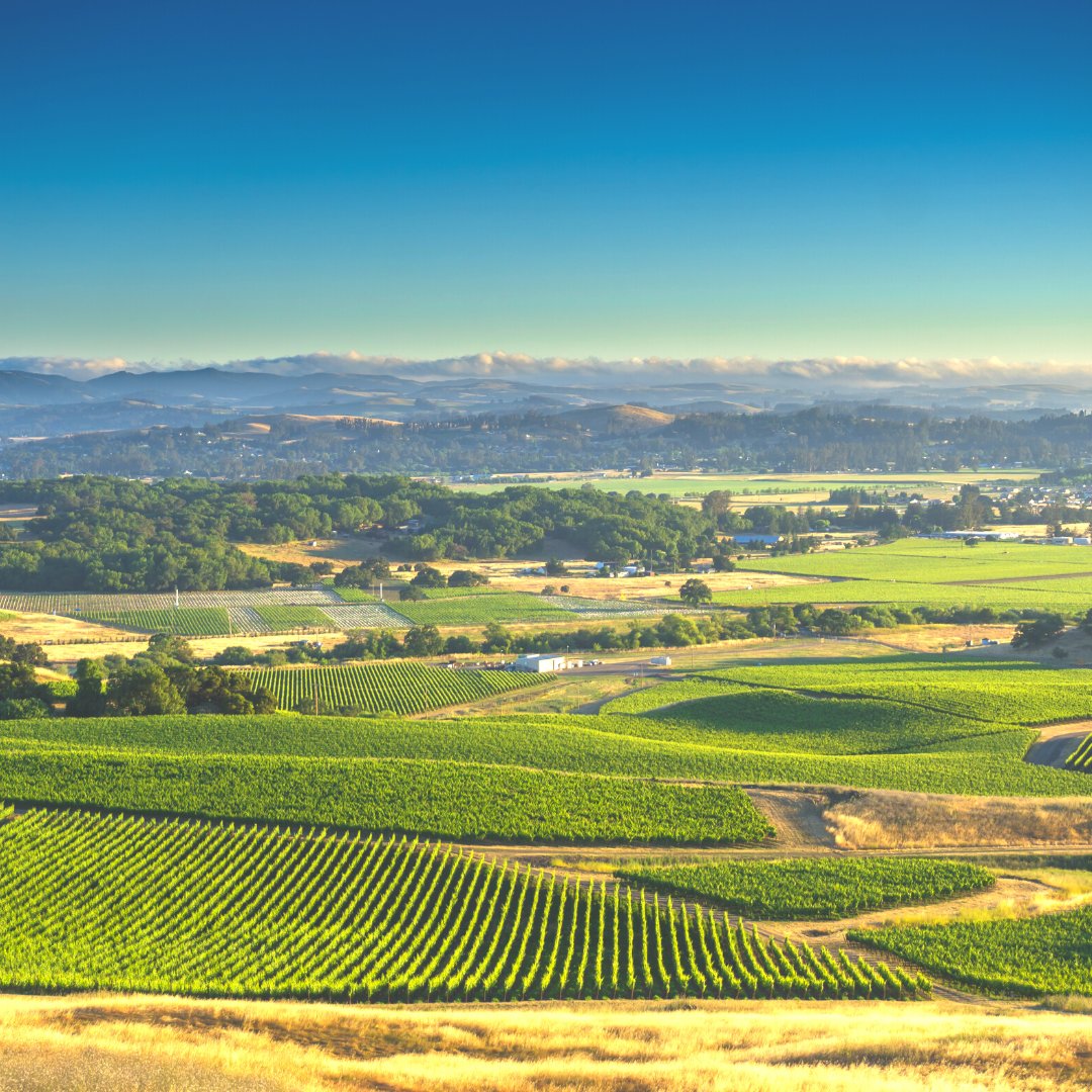 aha! (@ahaairlines) on Twitter photo Today is the day🍷 Our inaugural flight between <a href="/RenoAirport/">Reno-Tahoe Int’l Airport</a> (RNO) + <a href="/Fly_STS/">Sonoma County Airport</a> (STS) launches today and we're so excited 🙌 Start planning your next wine tasting trip in Sonoma/Napa Valley or adventure in Reno-Tahoe!
Psst...fare sale! flyaha.com/deals for info. Today is the day🍷 Our inaugural flight between <a href="/RenoAirport/">Reno-Tahoe Int’l Airport</a> (RNO) + <a href="/Fly_STS/">Sonoma County Airport</a> (STS) launches today and we're so excited 🙌 Start planning your next wine tasting trip in Sonoma/Napa Valley or adventure in Reno-Tahoe!
Psst...fare sale! flyaha.com/deals for info.