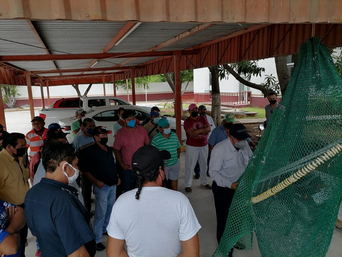OctavioAlmada1's tweet photo. Muchas felicidades a los participantes en el curso sobre la instalación y operación de dispositivos excluidores de tortugas marinas 🐢 (DET) y peces 🐟 (DEP) en #Campeche. 
Sigamos trabajando como hasta hoy para mantener la certificación del camarón 🦐 mexicano 🇲🇽. https://t.co/FOH7hfFOfy