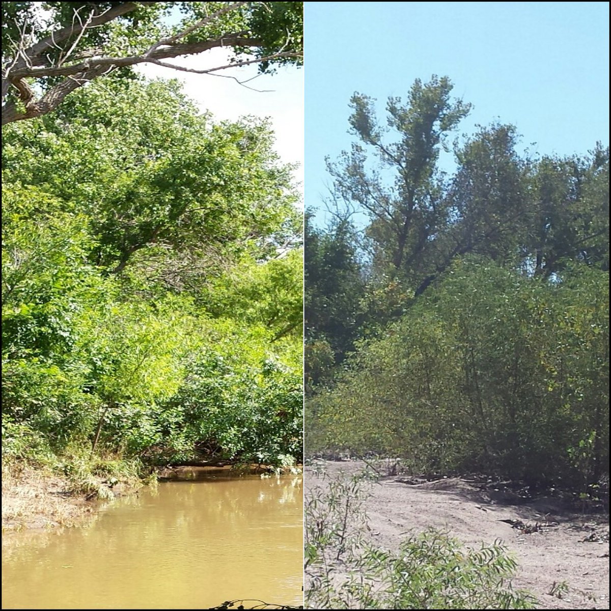 Andrea Brookfield tweet media