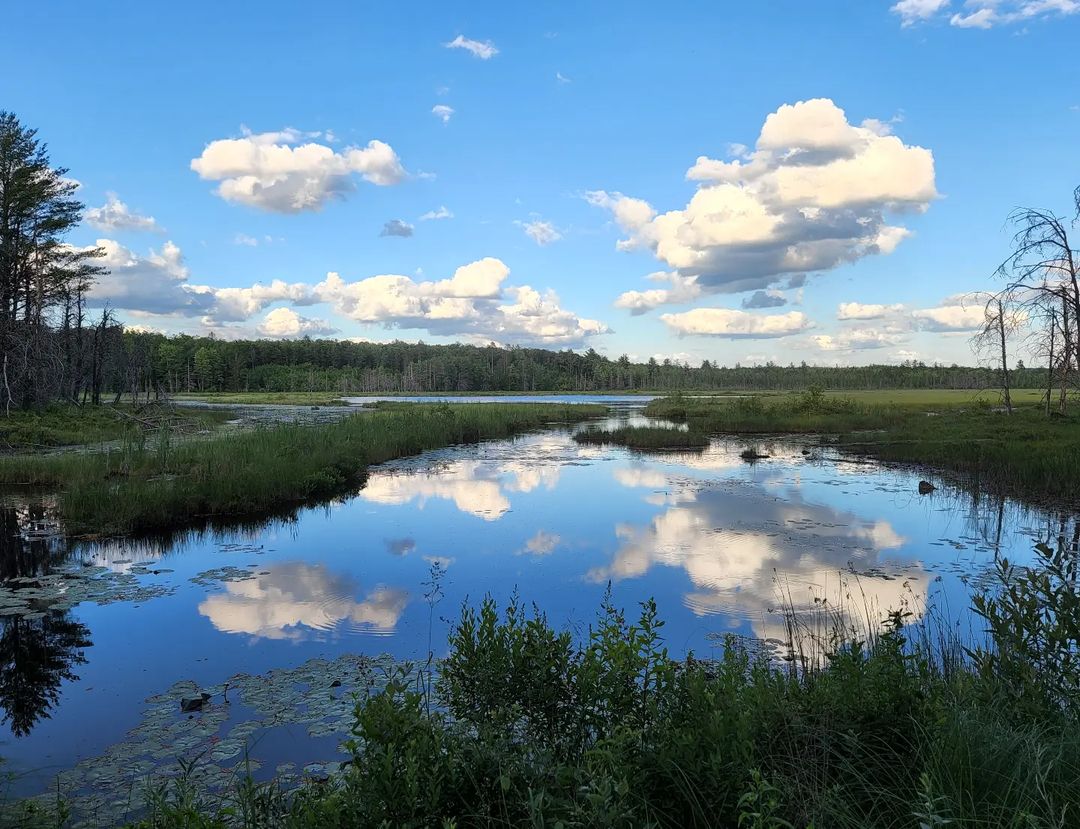 41% of Michigan is covered by water, meaning even when you’re “inland” you’re still never more than 6 miles away from water.

📸: Instagram fan jessicalane13
 #PureMichigan