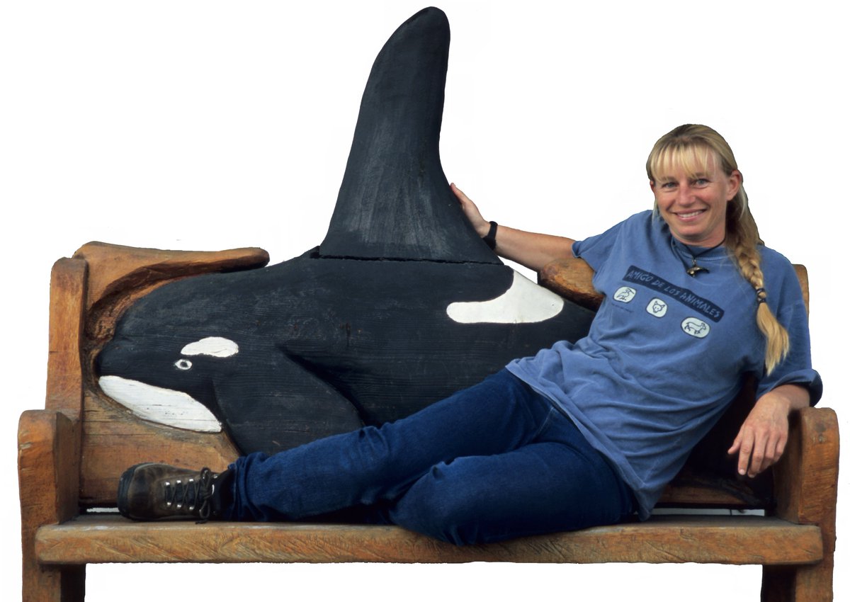 Dr Ingrid N. Visser (PhD) tweet media