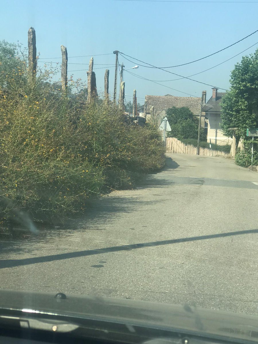 psoeporrino's tweet image. O @psoeporrino ven de realizar un informe do estado abandono de mantemento das parroquias do Porriño.

@DBargiela  lembrou ao @alcporrino que non só e responsable de festexos e que o mantemento é unha laboura fundamental dun goberno. 

Comezamos por #Atios

#OPPdeFesta #OPorriño