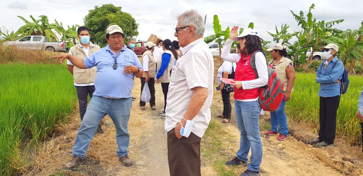 GrupoSocialFEPP's tweet photo. 𝗘𝗟 𝗧𝗥𝗔𝗕𝗔𝗝𝗢 𝗗𝗘𝗟 𝗙𝗘𝗣𝗣 𝗦𝗢𝗕𝗥𝗘𝗦𝗔𝗟𝗘 𝗘𝗡 𝗚𝗨𝗔𝗬𝗔𝗦
@aecidecuador y #SIPT #FEPP visitaron el proyecto "Mejoramiento de los ingresos económicos de pequeños y medianos productores 'Las Mercedes' #Guayas, junto a asociaciones y autoridades #YaguachiViejoCone https://t.co/NwwwyyZHMo