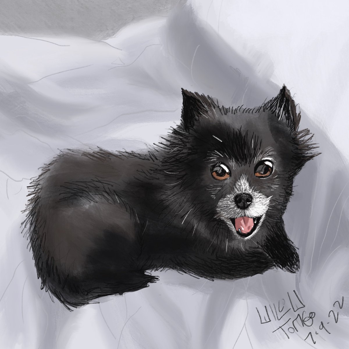 fwoosh2's tweet photo. This is my dog Wanwan. She is a good dog. Drew this on procreate and on my iPad. https://t.co/8qSmLOoxSK