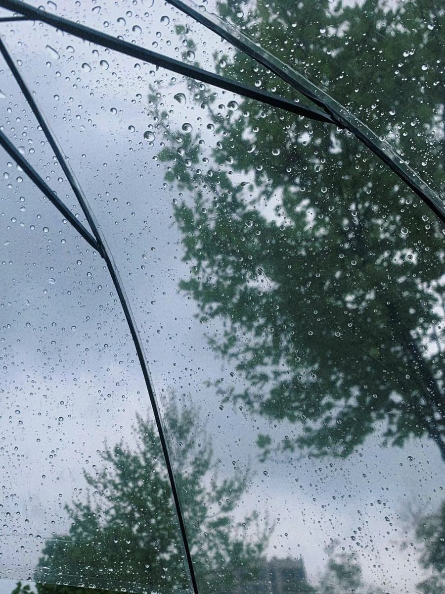 SplashedWhite5's tweet photo. The sound of rain gradually sneaks into the dream https://t.co/c0FzK4Aa5q