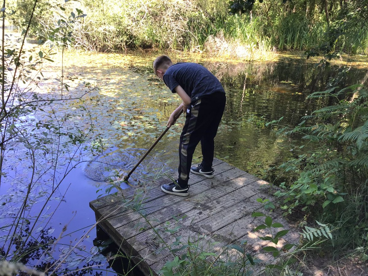 VyneGeographers's tweet photo. Our year 7’s had an exciting day in the New Forest investigating pollution levels within the water sources by exploring minibeasts and aquatic creatures. We found frogs, newts, dragonfly nymphs and concluded that the pond is pollution free🌟🌍

#geographyteacher https://t.co/GenTOm26aK