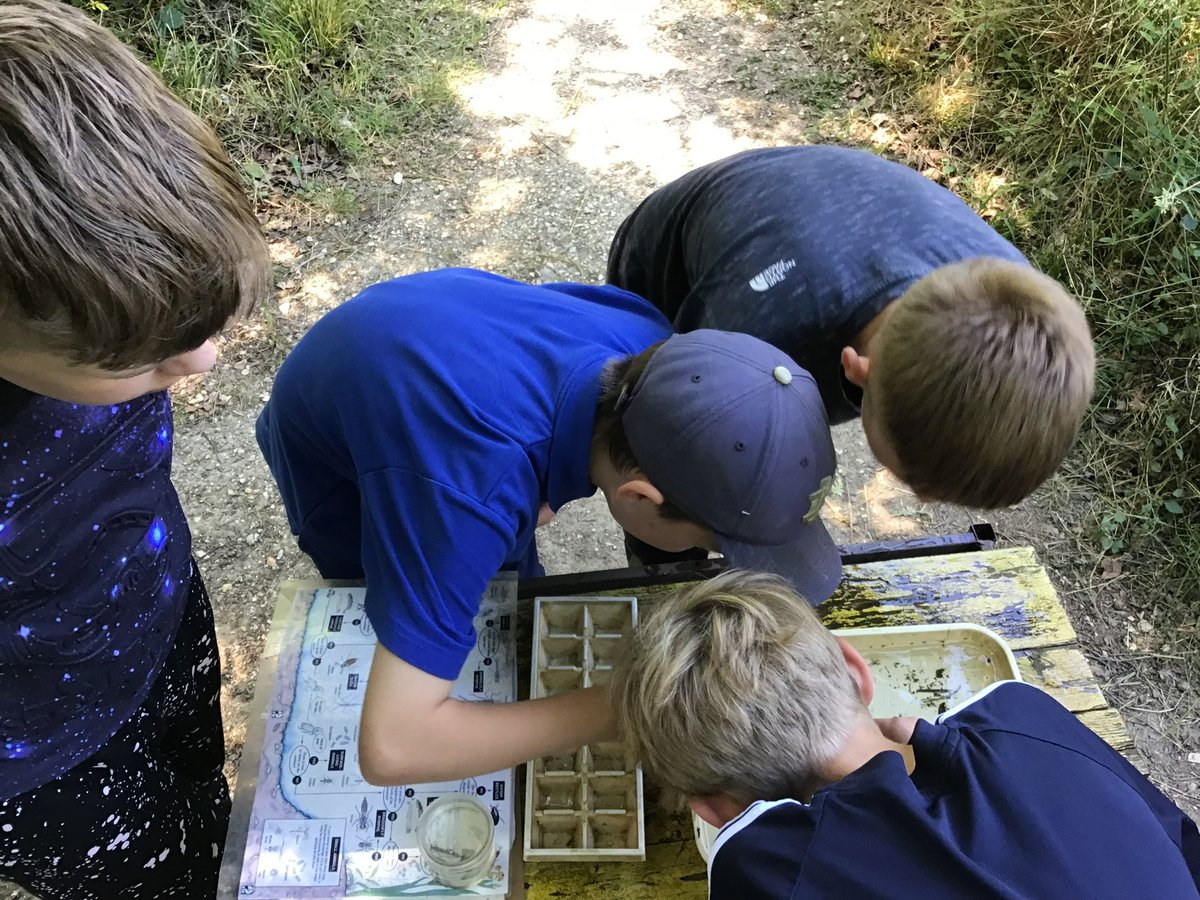 VyneGeographers's tweet photo. Our year 7’s had an exciting day in the New Forest investigating pollution levels within the water sources by exploring minibeasts and aquatic creatures. We found frogs, newts, dragonfly nymphs and concluded that the pond is pollution free🌟🌍

#geographyteacher https://t.co/GenTOm26aK
